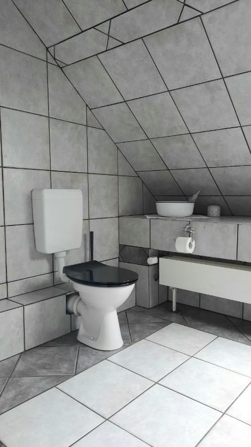 Vierseitenhof Hasenfelde - Ferienwohnung Feldblick Steinhofel Ngoại thất bức ảnh